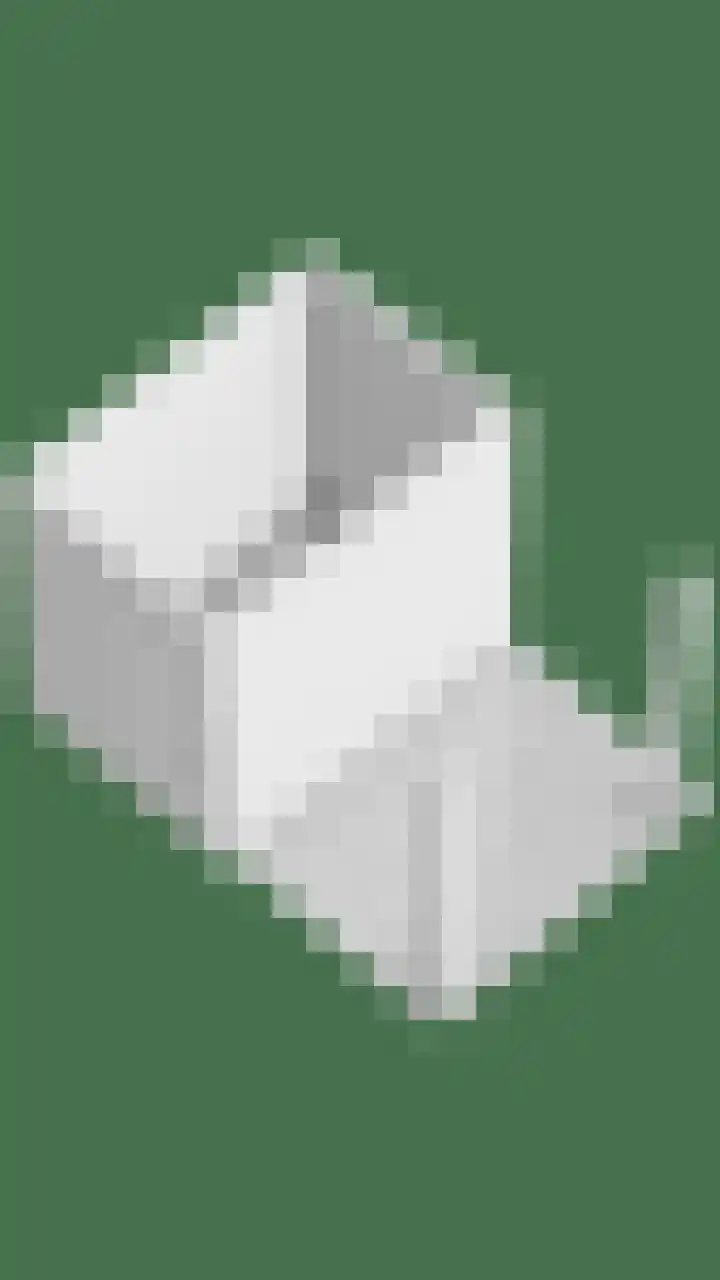 Engelbeemd 37 Herpen thumbnail 48