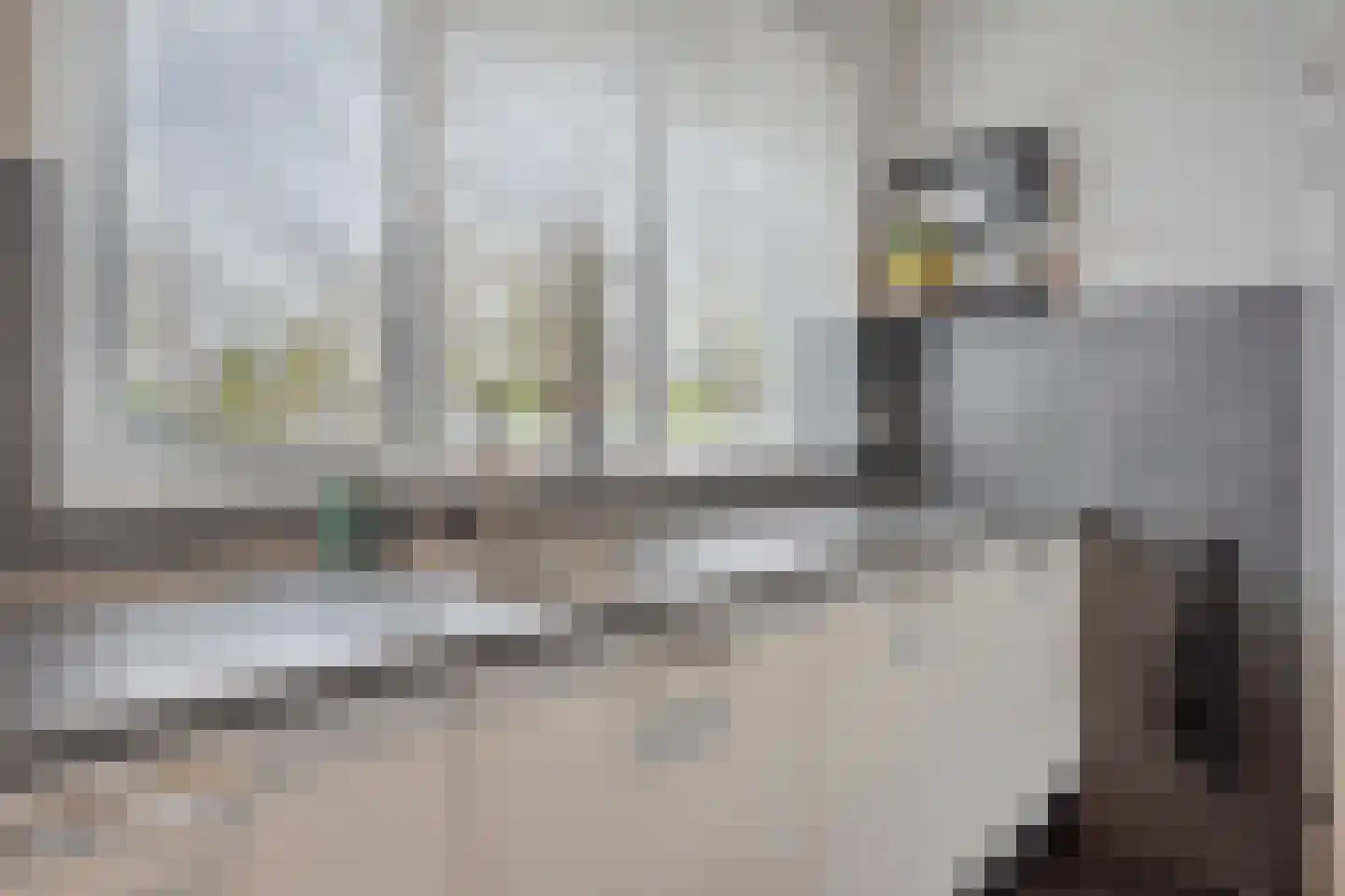Engelbeemd 7 Herpen thumbnail 10