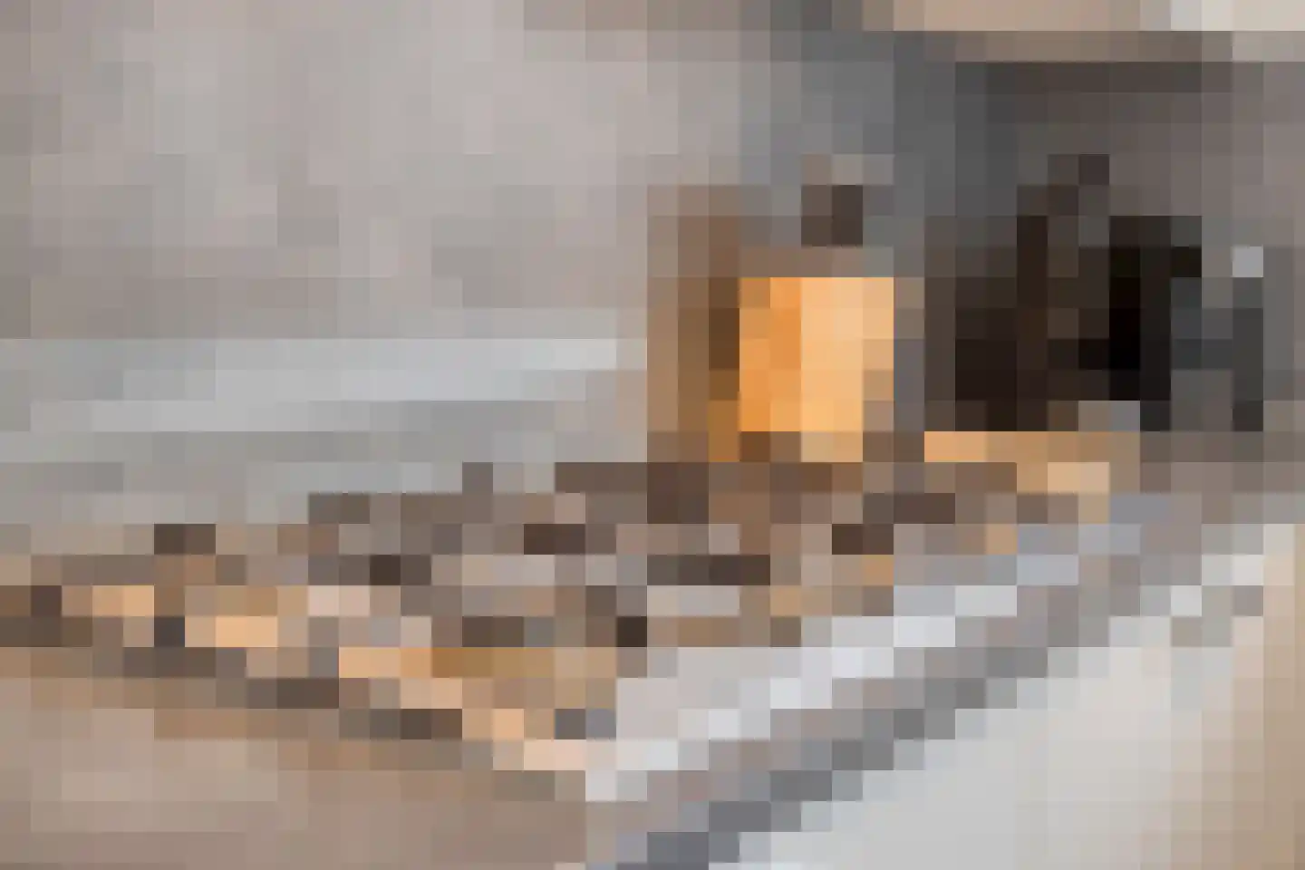 Engelbeemd 7 Herpen thumbnail 11