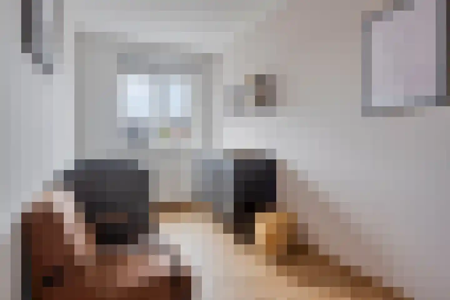 Engelbeemd 7 Herpen thumbnail 18