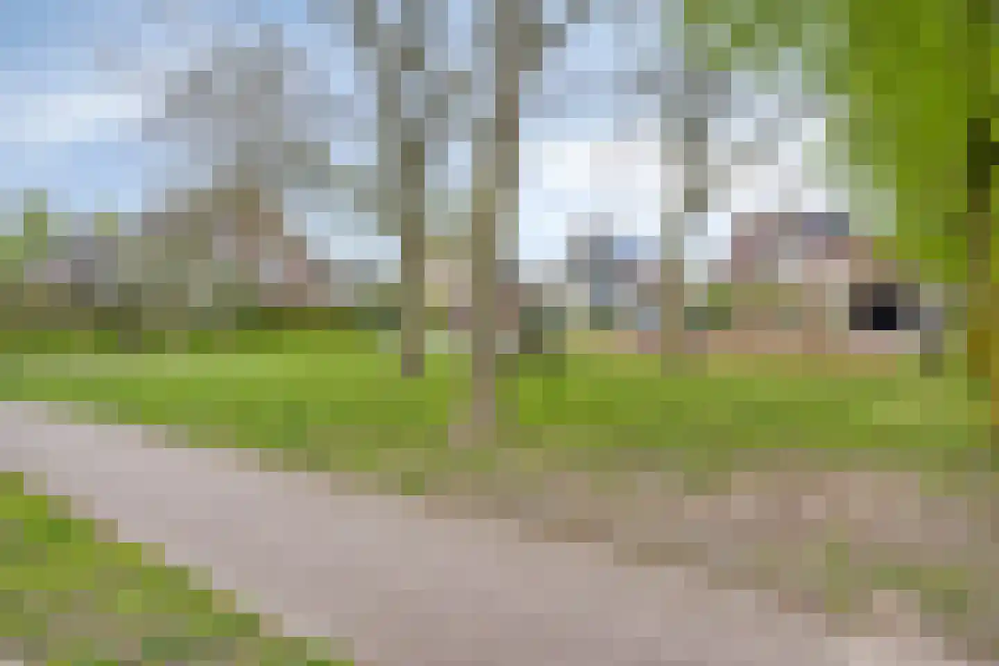 Engelbeemd 7 Herpen thumbnail 29