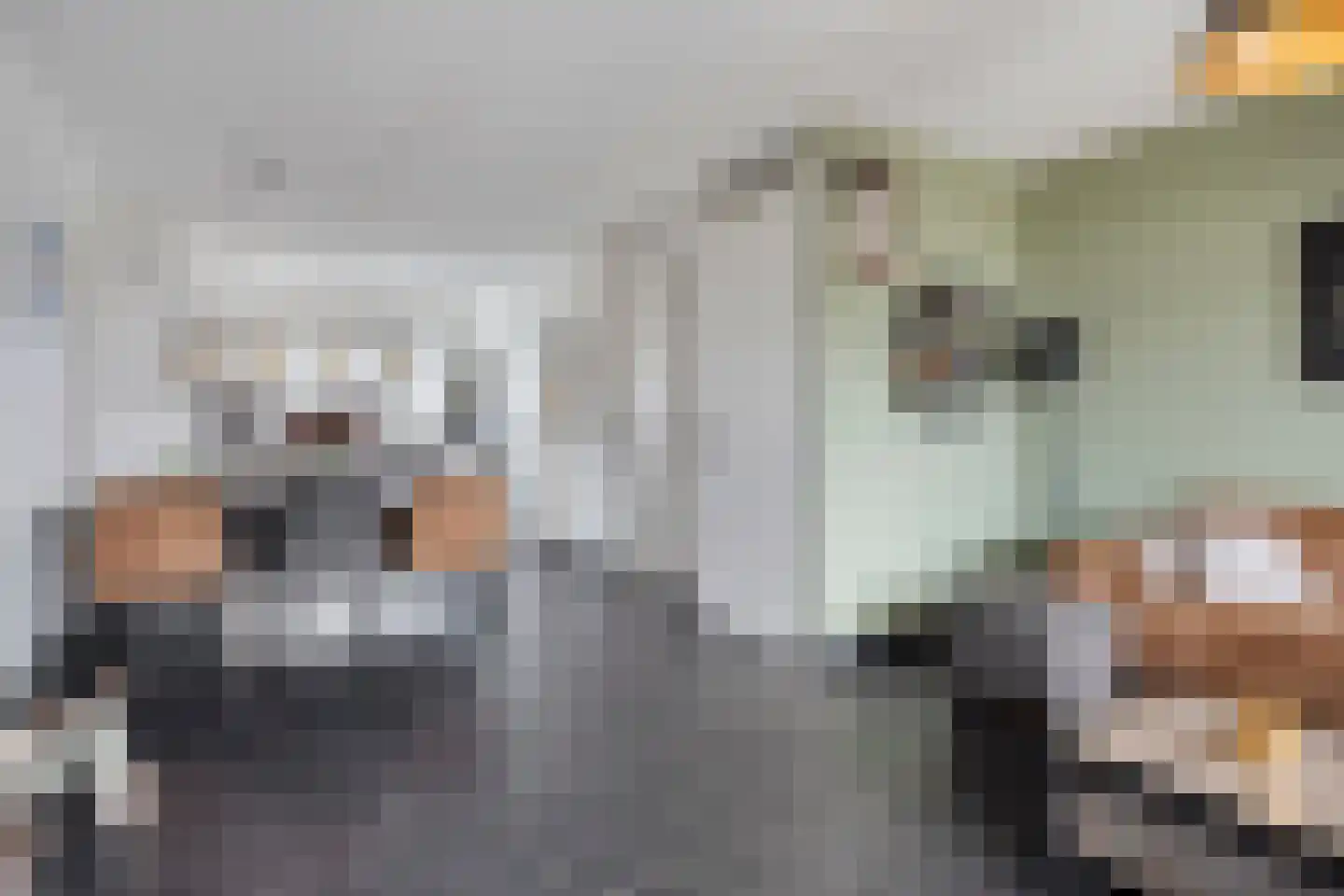 Engelbeemd 7 Herpen thumbnail 7