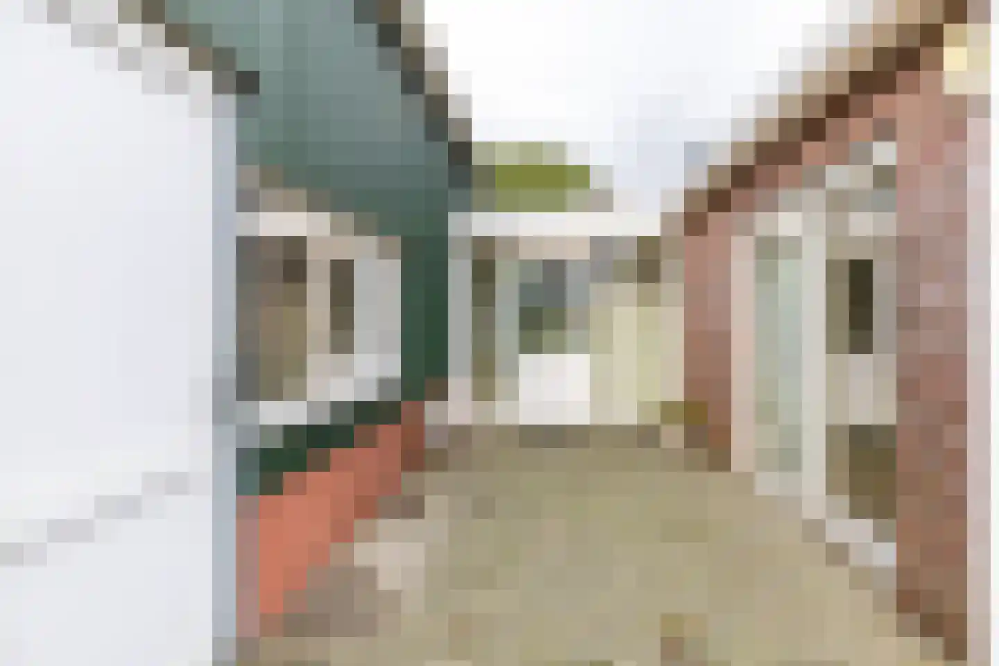 Engelberterweg 112 Groningen thumbnail 28