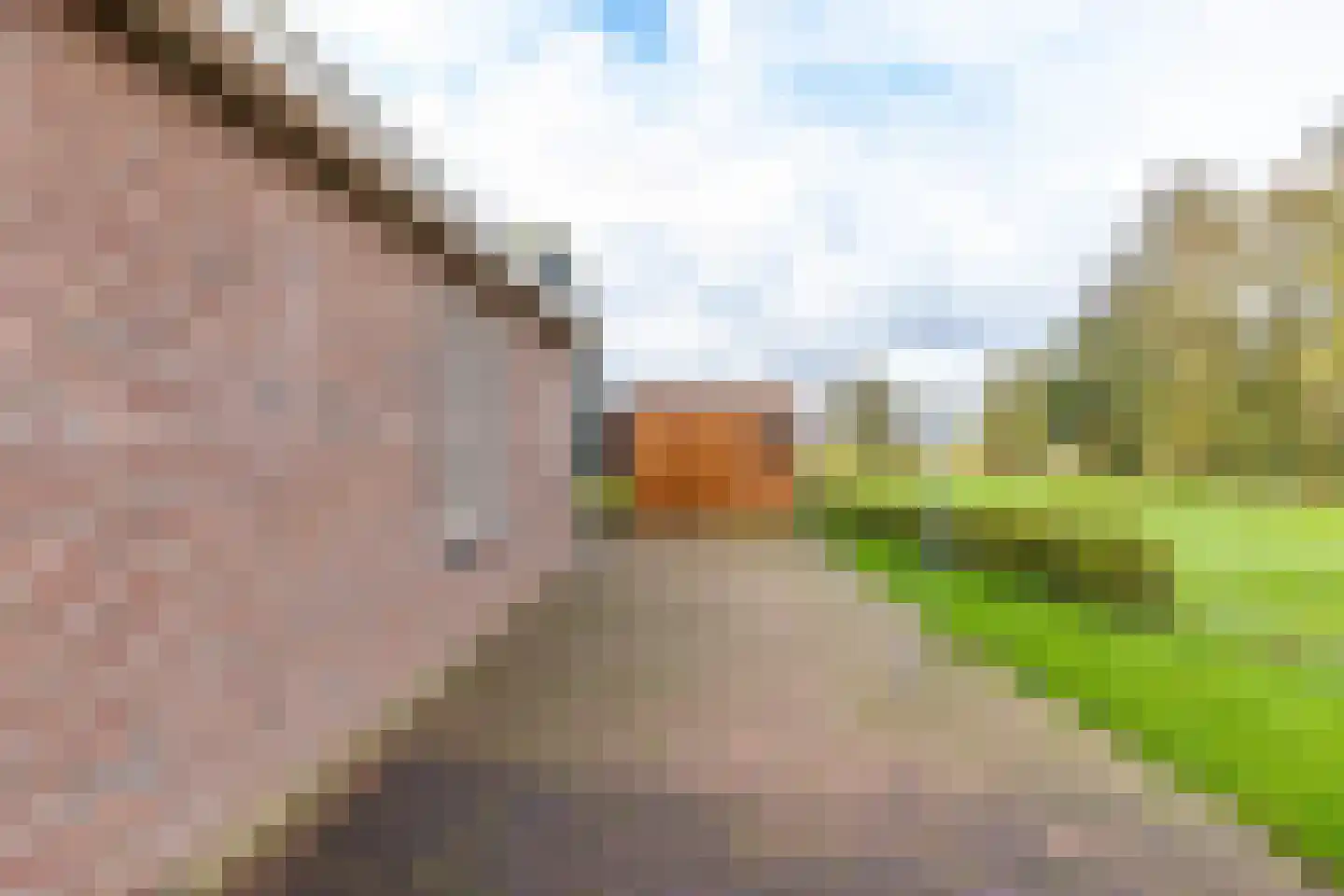 Engelberterweg 112 Groningen thumbnail 54