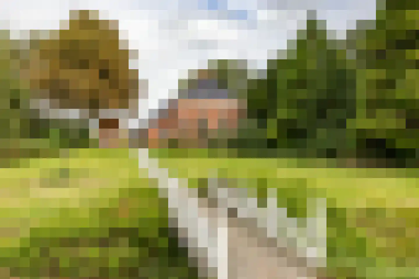 Engelberterweg 19 in Groningen