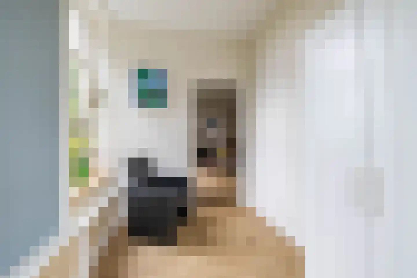 Engelberterweg 19 Groningen thumbnail 11