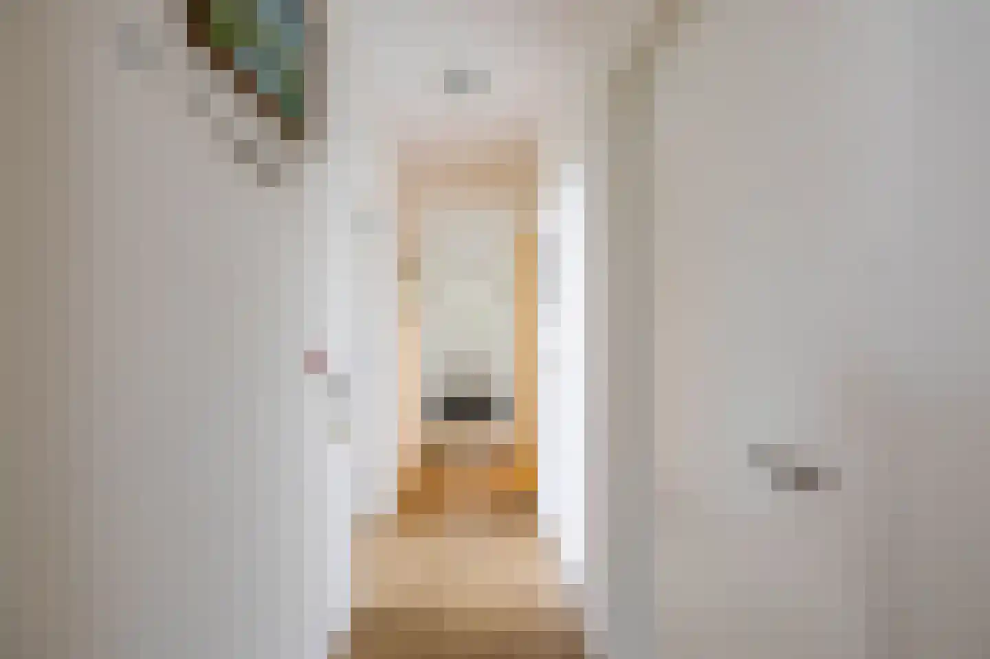 Engelberterweg 19 Groningen thumbnail 19