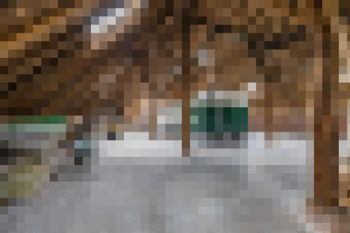 Engelberterweg 19 Groningen thumbnail 26