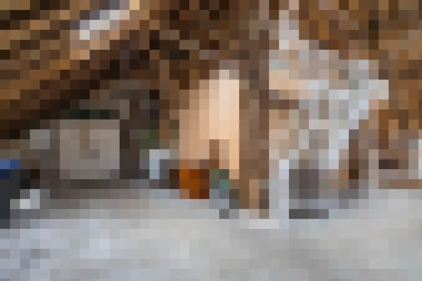 Engelberterweg 19 Groningen thumbnail 28