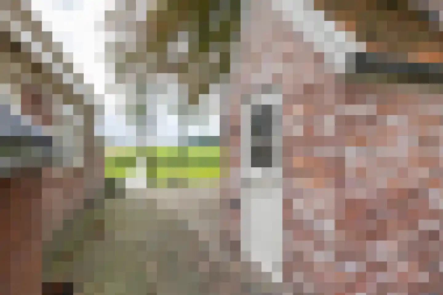 Engelberterweg 19 Groningen thumbnail 33