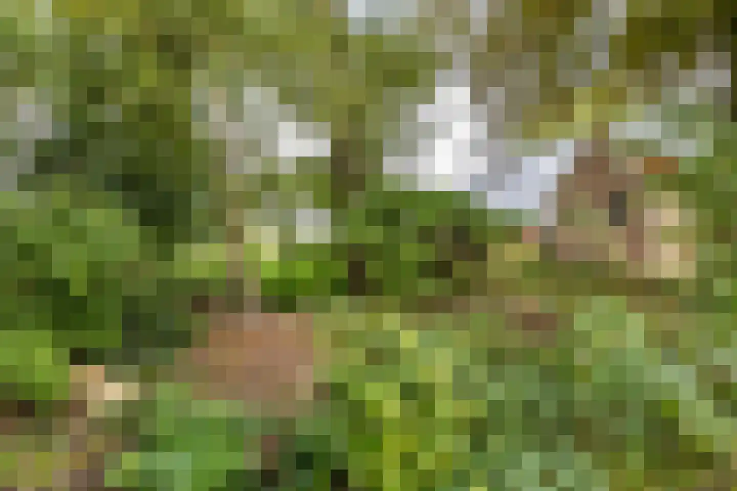 Engelberterweg 19 Groningen thumbnail 34
