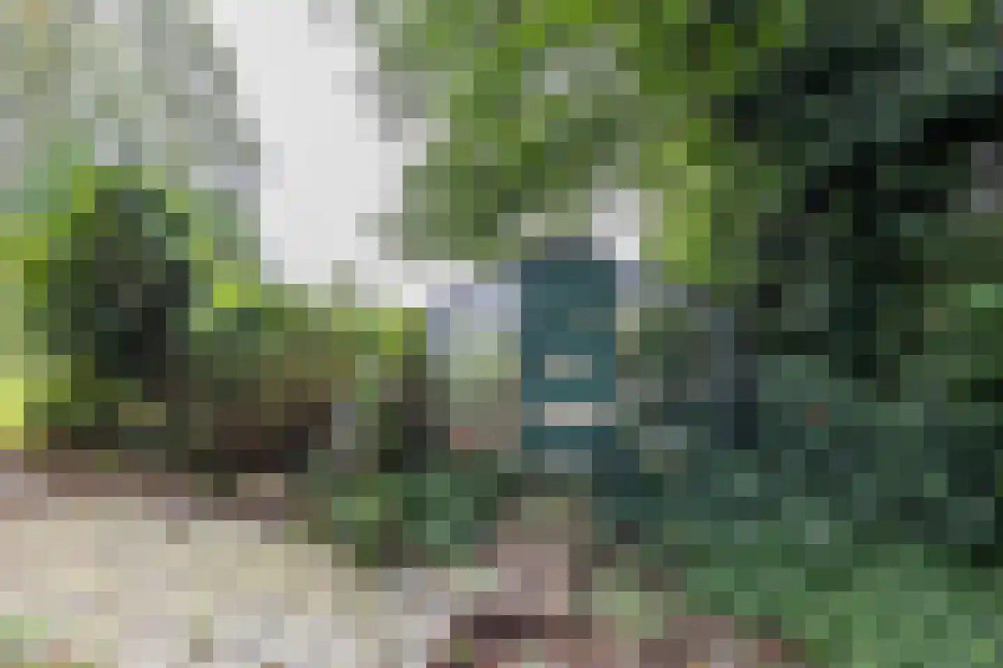 Engelberterweg 19 Groningen thumbnail 35