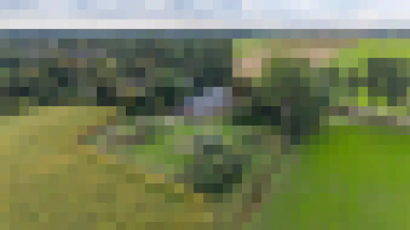 Engelberterweg 19 Groningen thumbnail 41