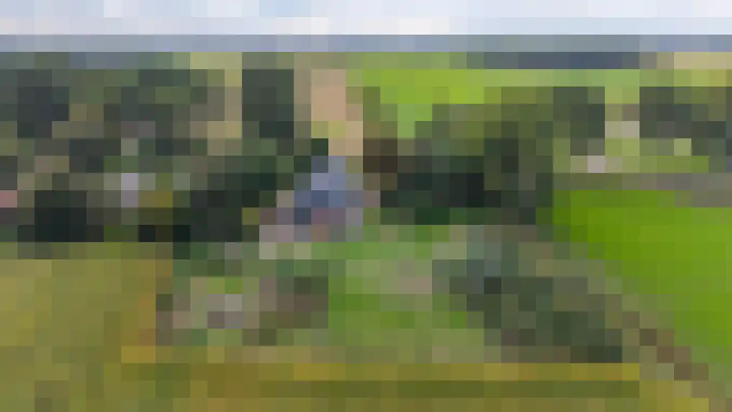 Engelberterweg 19 Groningen thumbnail 42