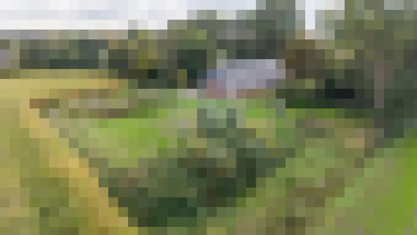 Engelberterweg 19 Groningen thumbnail 43