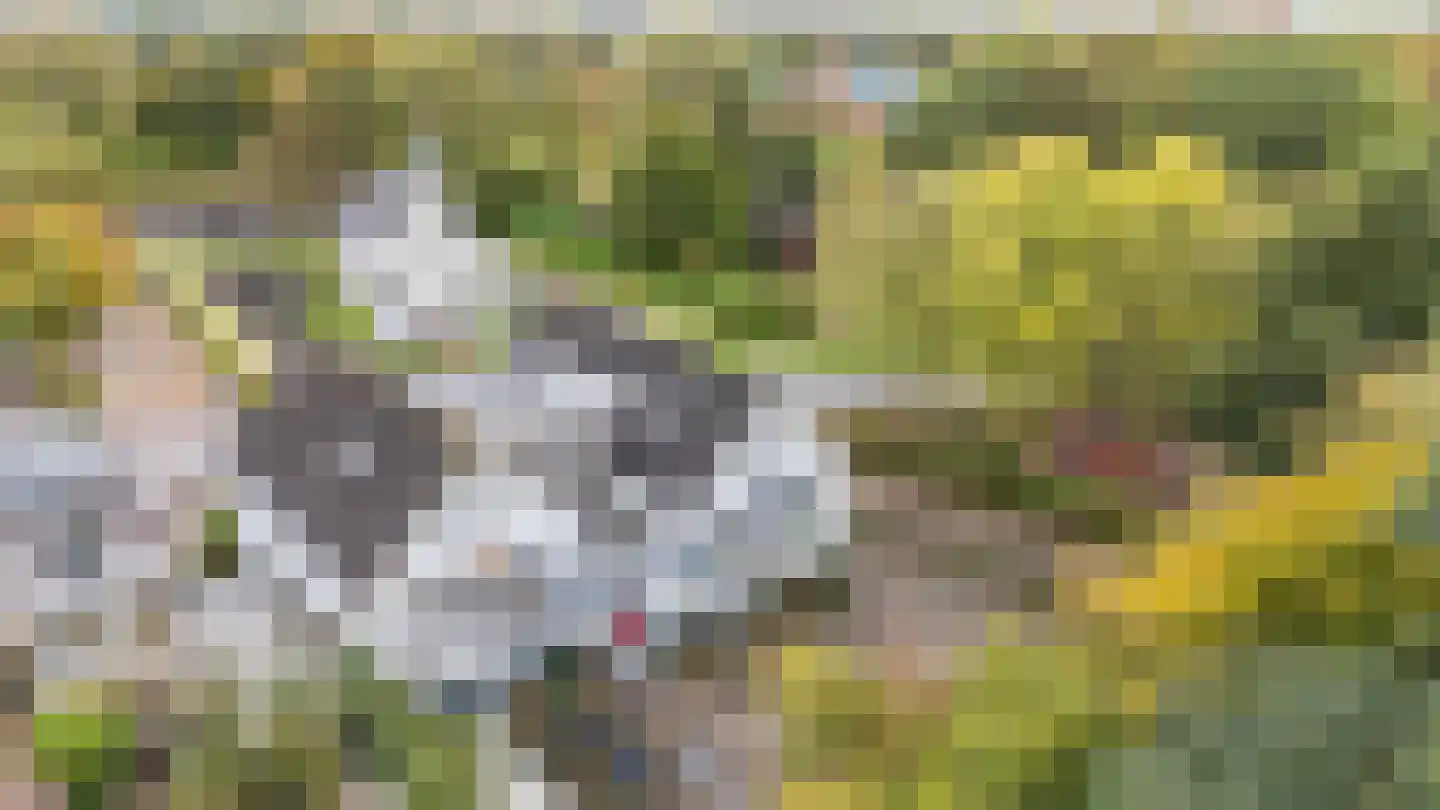 Engelberterweg 38 Groningen thumbnail 11