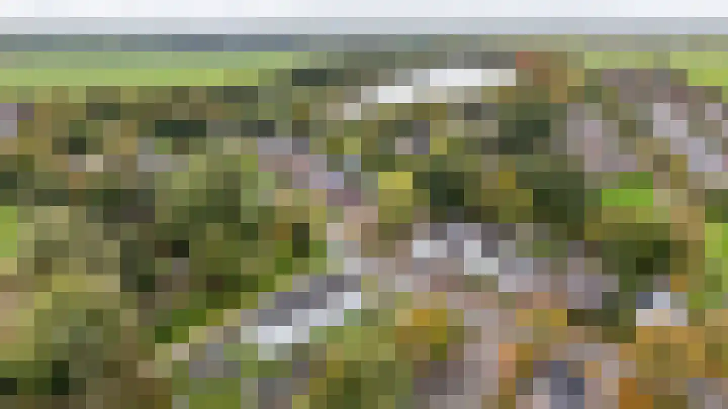 Engelberterweg 38 Groningen thumbnail 12