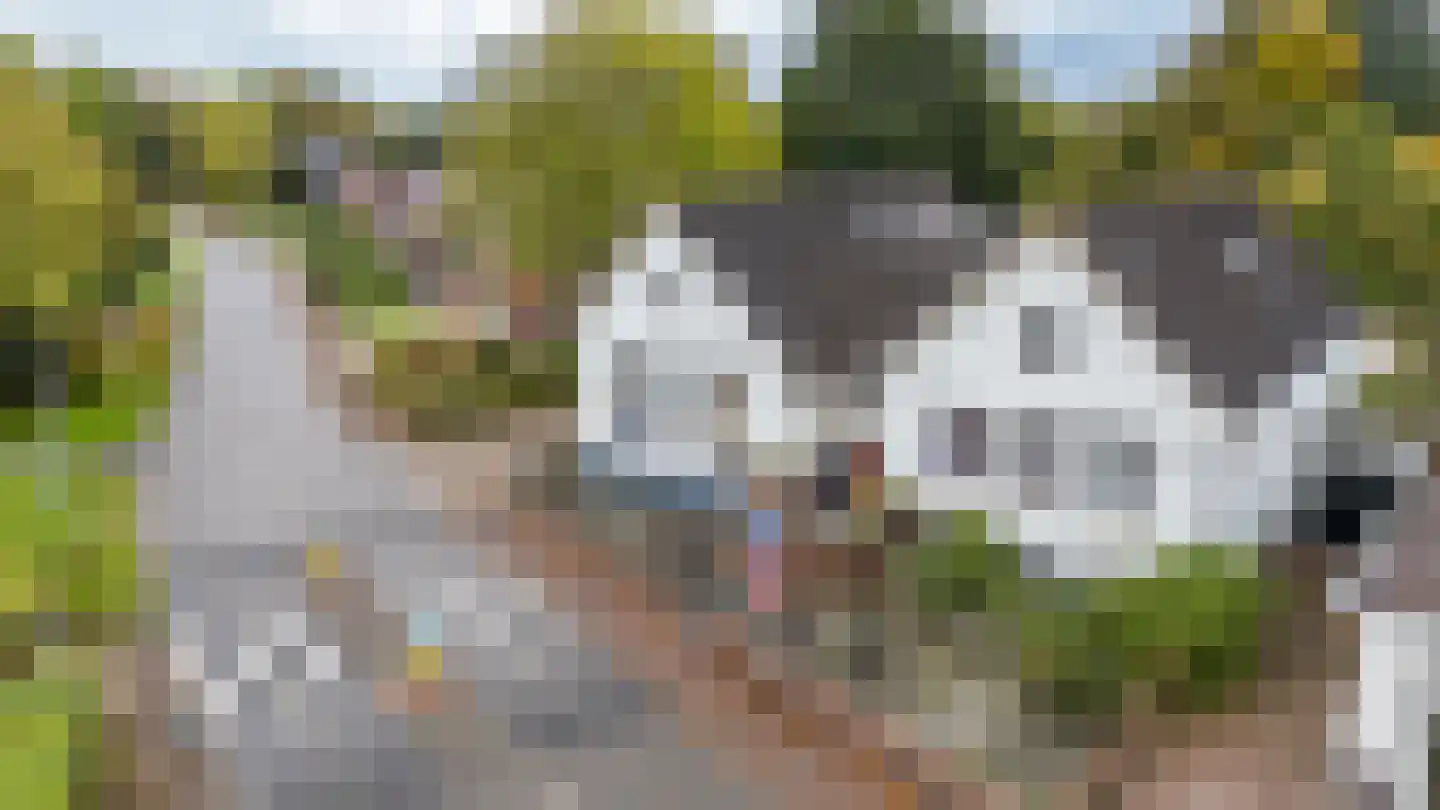 Engelberterweg 38 Groningen thumbnail 14