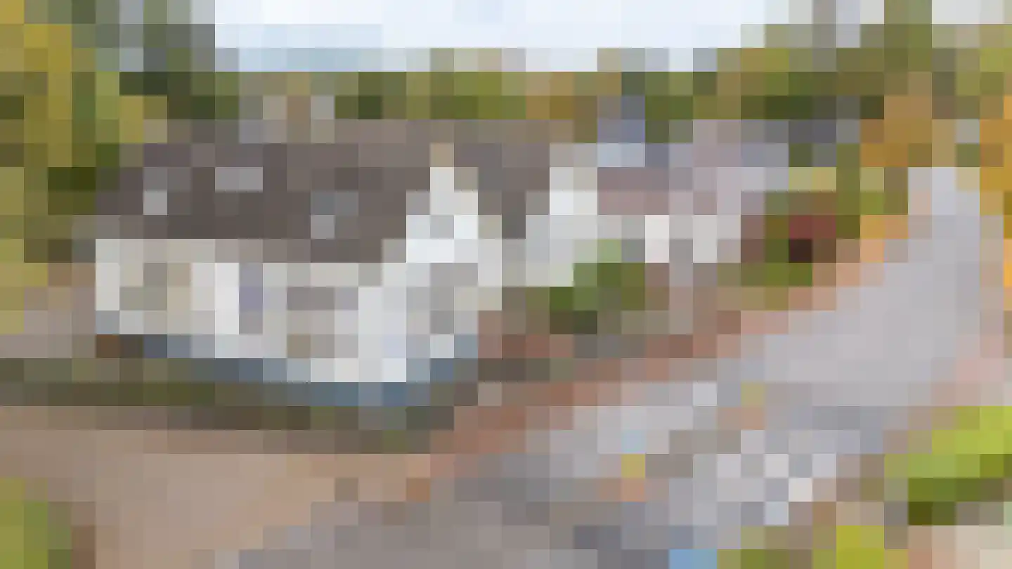 Engelberterweg 38 Groningen thumbnail 15