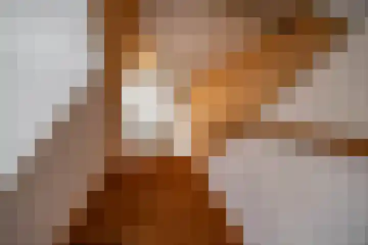 Engelberterweg 43 Groningen thumbnail 30