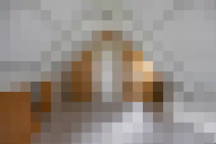 Engelberterweg 43 Groningen thumbnail 33