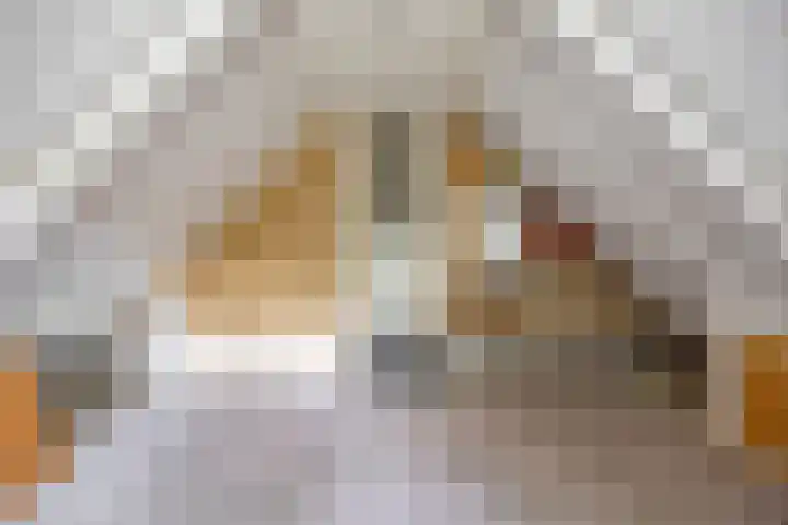 Engelberterweg 43 Groningen thumbnail 34