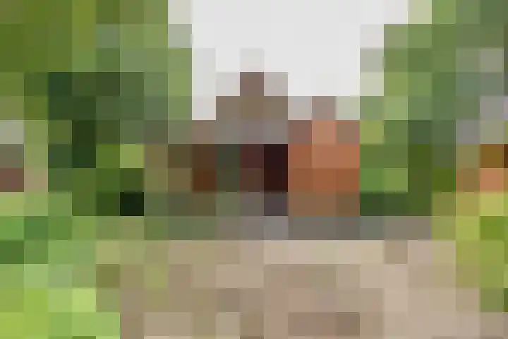 Engelberterweg 43 Groningen thumbnail 36