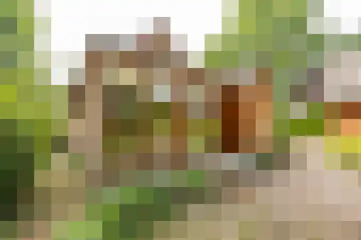 Engelberterweg 43 Groningen thumbnail 37