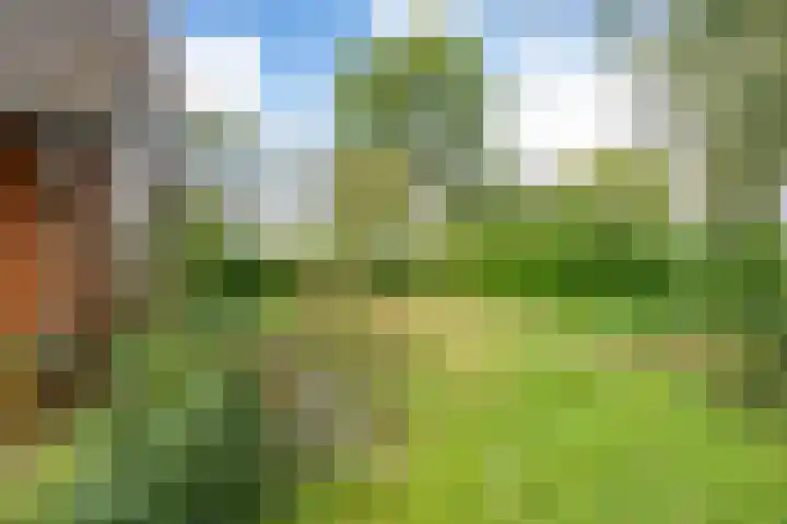 Engelberterweg 43 Groningen thumbnail 46