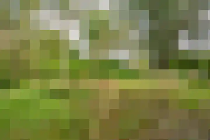 Engelberterweg 43 Groningen thumbnail 47