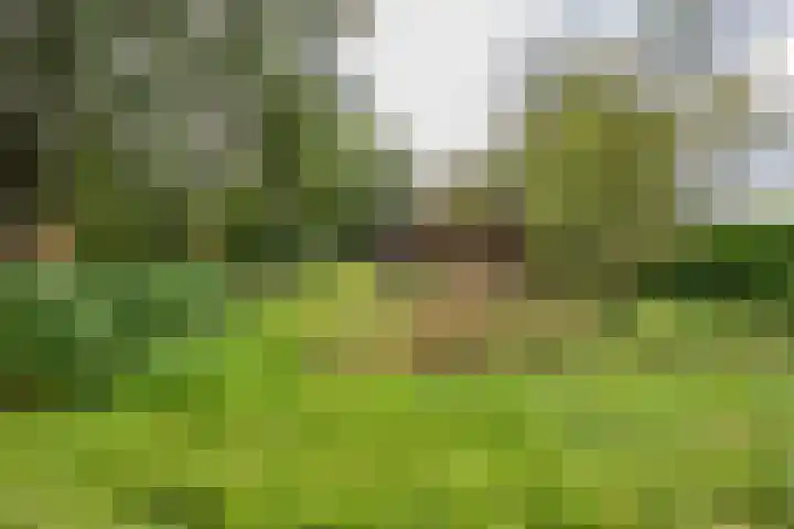 Engelberterweg 43 Groningen thumbnail 48