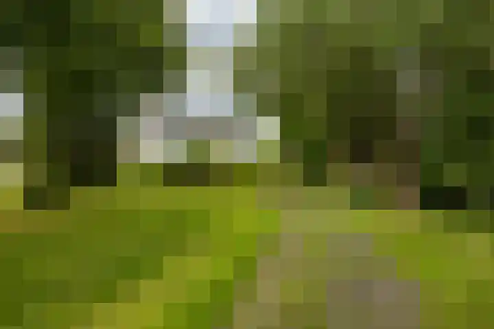 Engelberterweg 43 Groningen thumbnail 50