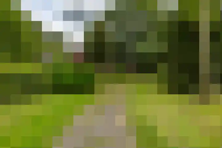 Engelberterweg 43 Groningen thumbnail 6