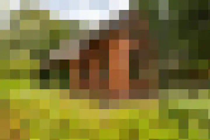 Engelberterweg 43 Groningen thumbnail 7