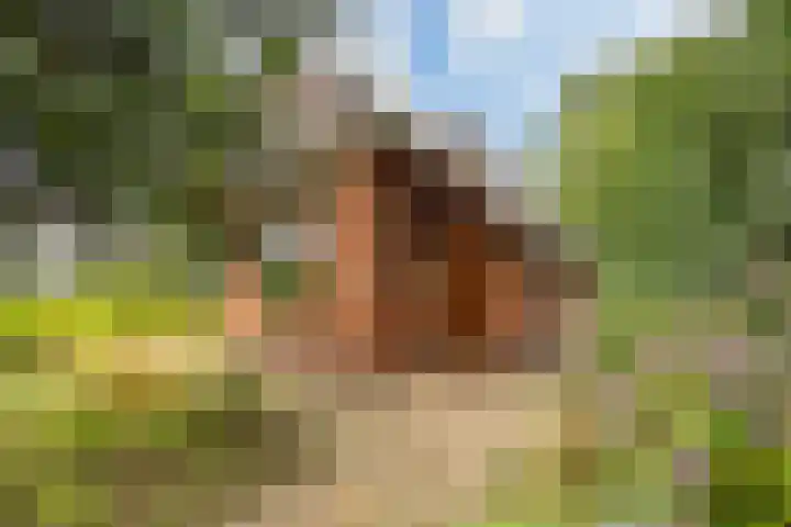 Engelberterweg 43 Groningen thumbnail 8
