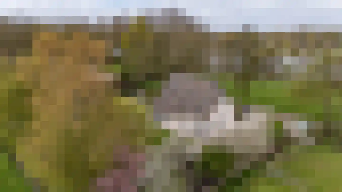 Engelberterweg 58 Groningen thumbnail 10