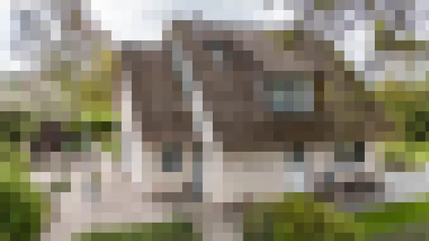 Engelberterweg 58 Groningen thumbnail 13