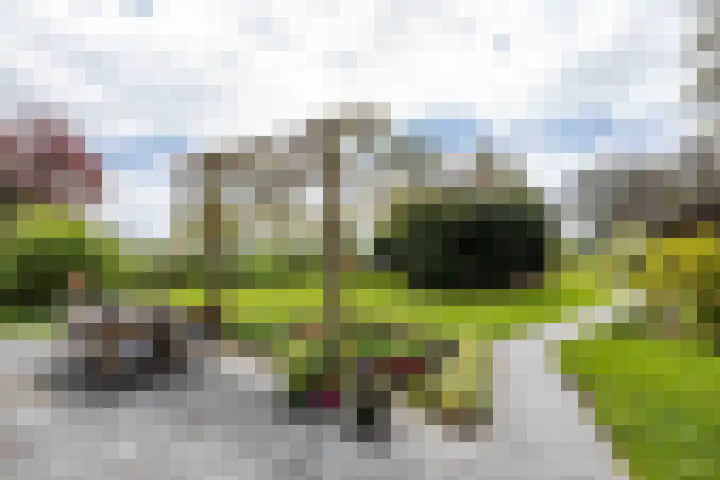 Engelberterweg 58 Groningen thumbnail 42