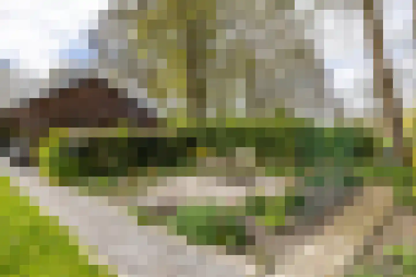 Engelberterweg 58 Groningen thumbnail 43