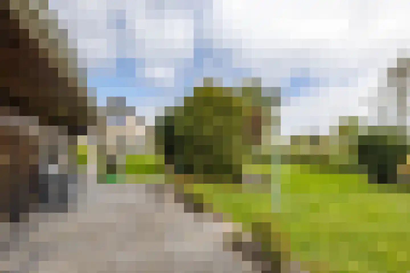 Engelberterweg 58 Groningen thumbnail 45