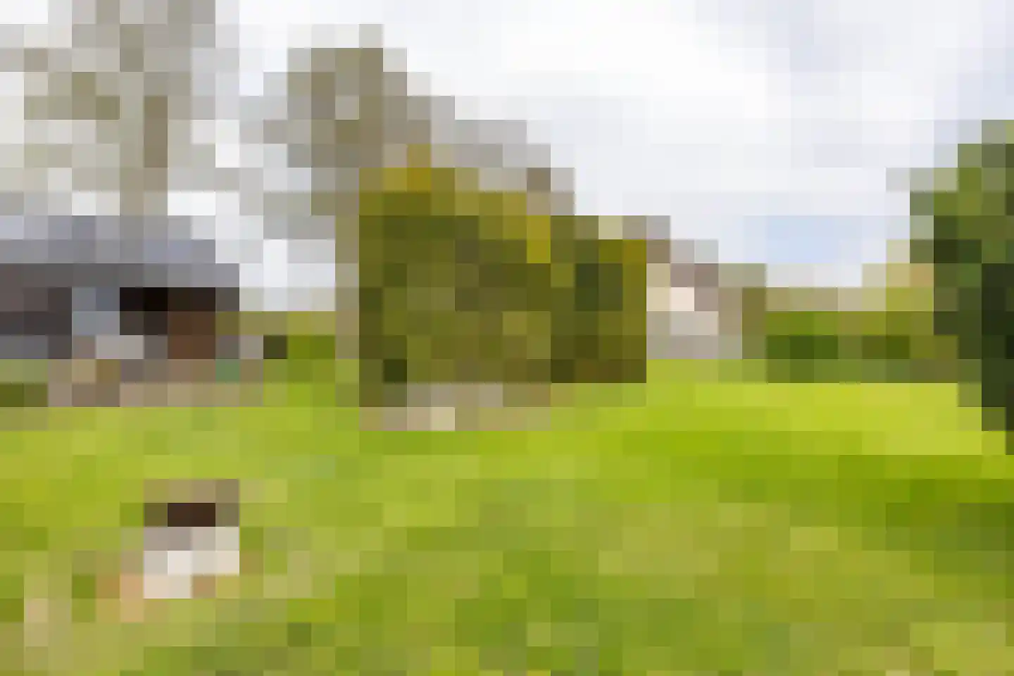 Engelberterweg 58 Groningen thumbnail 51
