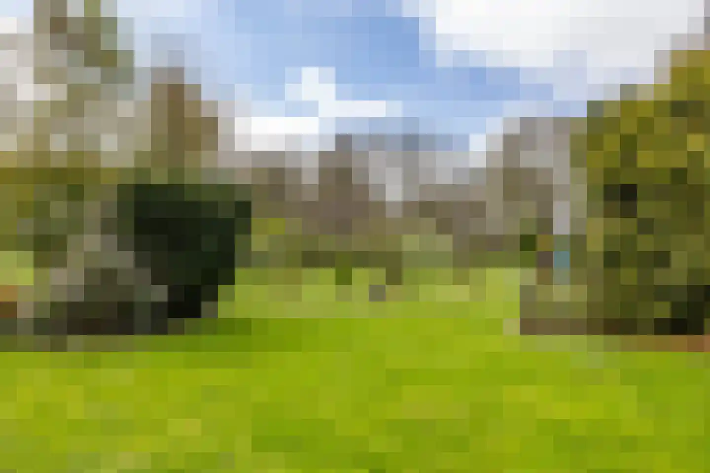 Engelberterweg 58 Groningen thumbnail 52