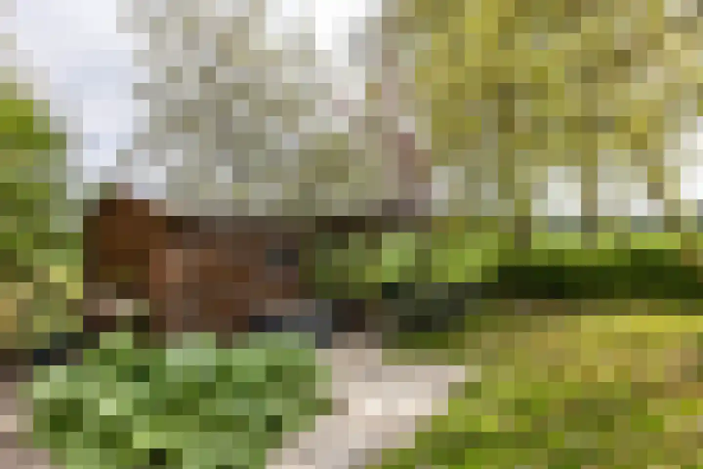 Engelberterweg 58 Groningen thumbnail 58