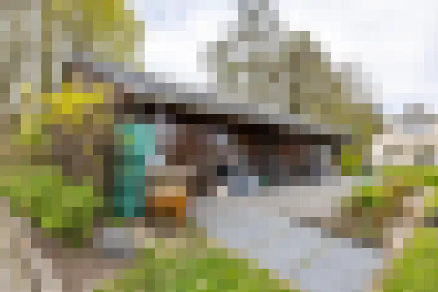 Engelberterweg 58 Groningen thumbnail 90