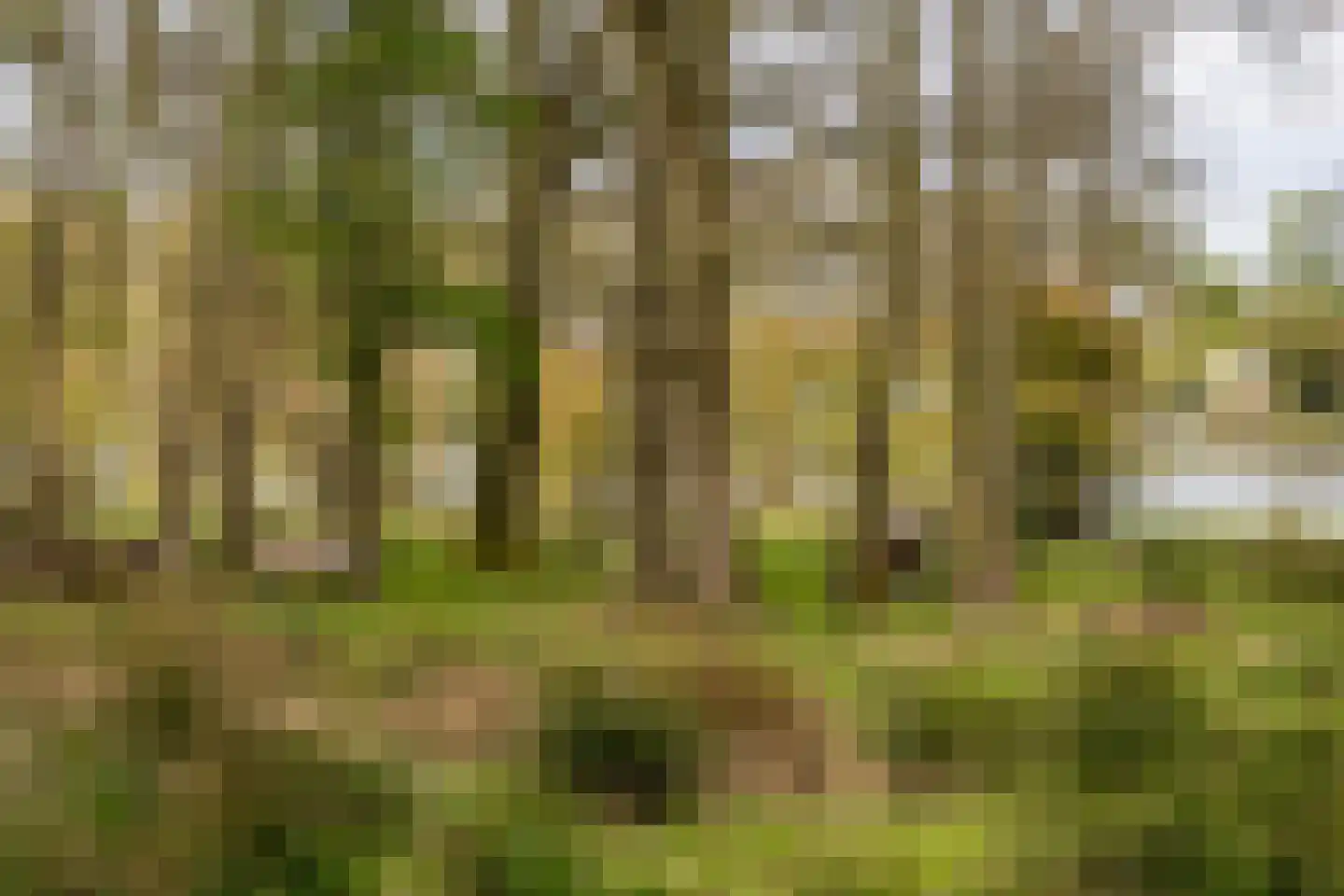 Engelberterweg 58 Groningen thumbnail 93
