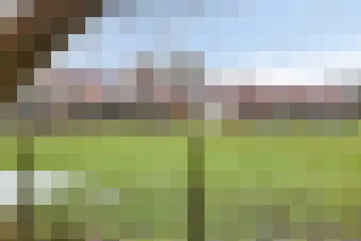 Engelberterweg 61 a Groningen thumbnail 31
