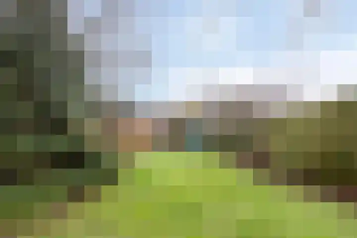 Engelberterweg 61 a Groningen thumbnail 32