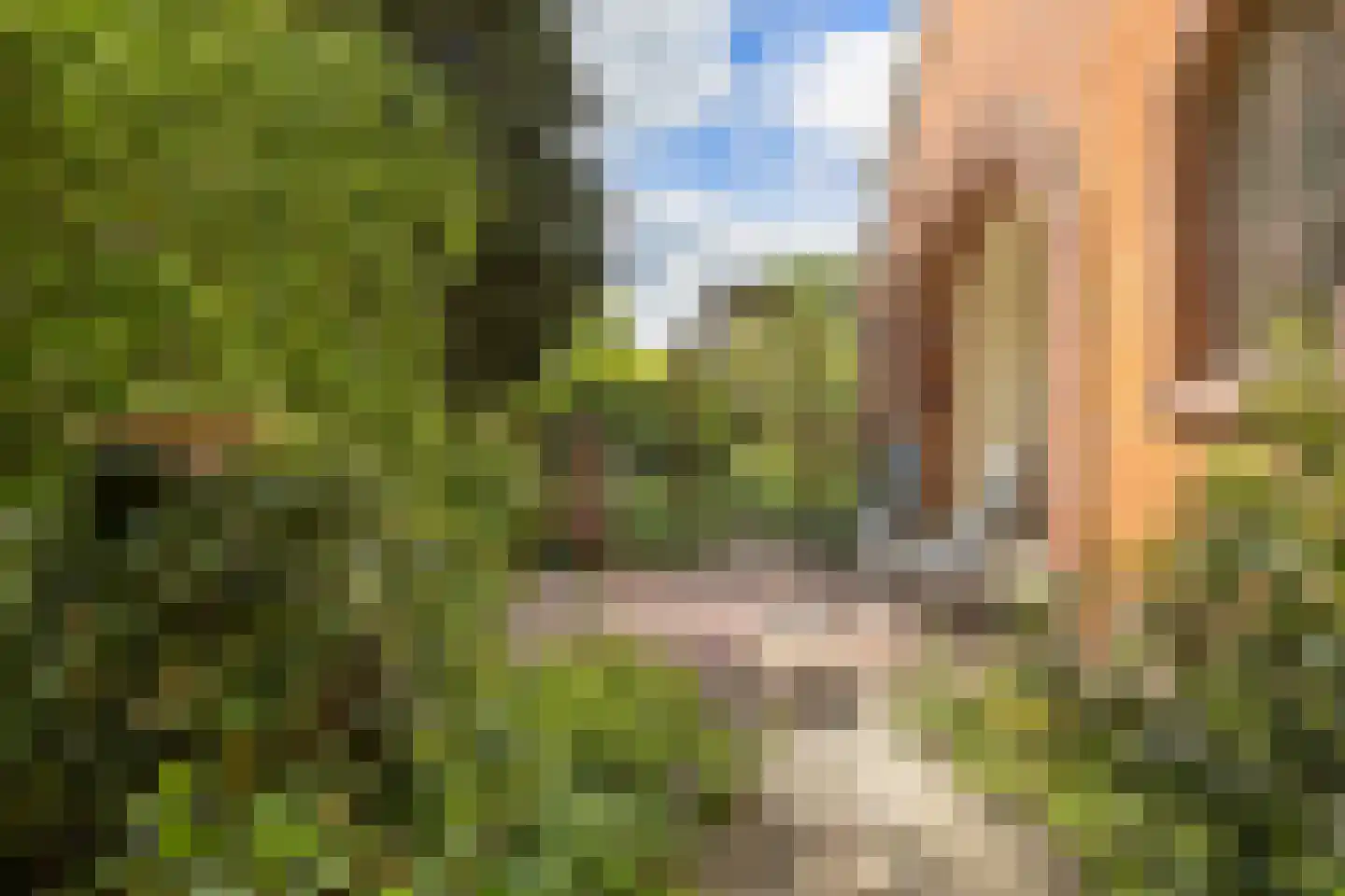 Engelberterweg 85 a Groningen thumbnail 39