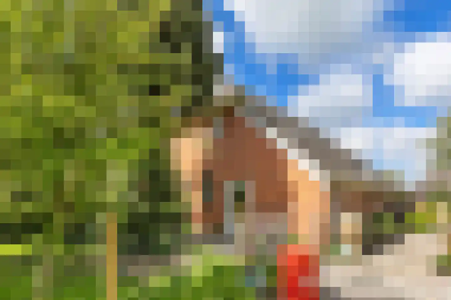 Engelberterweg 85 a Groningen thumbnail 40