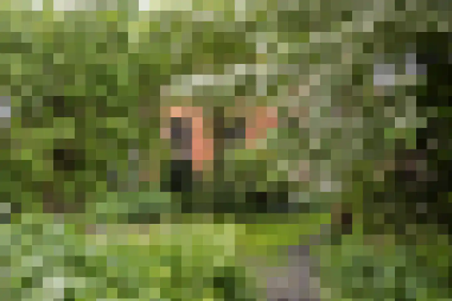 Engelberterweg 85 a Groningen thumbnail 41